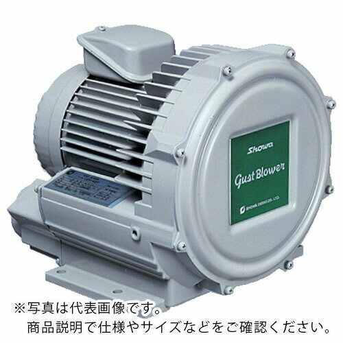 【SALE価格】昭和　電動送風機　渦流式高圧シリーズ　ガストブロアシリーズ（0．07kW） U2V-07T ( U2V07T ) 昭和電機（株）