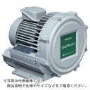 昭和　電動送風機　渦流式高圧シリーズ　ガストブロアシリーズ（0．1kW） U2V-10T ( U2V10T ) 昭和電機（株） 【メーカー取寄】