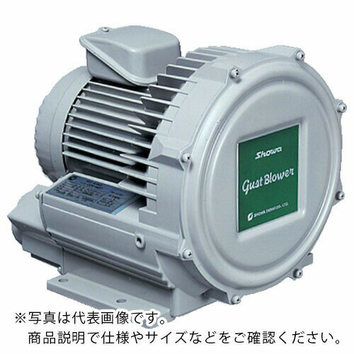【SALE価格】昭和　電動送風機　渦流式高圧シリーズ　ガストブロアシリーズ（0．3kW） U2V-30T ( U2V30T ) 昭和電機（株）