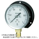 【SALE価格】長野 JIS汎用形圧力計(B枠) 圧力レンジ(MPa):0.0~6.00 ( GS51-231-6.0MP ) 長野計器(株)