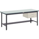 【SALE価格】TRUSCO 中荷重作業台(500kg)AEW型 900X600XH740 2段引出付 ダークグレー色 ( AEWR-0960F2 (リノリュームバリテンバン) ) トラスコ中山(株)