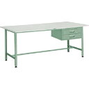 【SALE価格】TRUSCO 軽荷重作業台(300kg)AE型 900X600XH740 2段引出付 グリーン色 ( RAE-0960F2 (リノリュームテンバ...