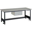 【SALE価格】TRUSCO 中荷重作業台(500kg)CFW型 1800X750XH740 2段引出付 ダークグレー色 ( CFWS-1875F2 ) トラス...