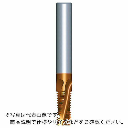 NOGA 超硬ソリッドミルスレッドNPT ( 1212D20 14NPT MT-7 ) カーメックス社