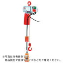 【SALE価格】象印 ベータ型小型電気チェンブロック 定格荷重125KG 揚程6M (βS-012 6m) ( BS-K1260 ) 象印チェンブロック(株)