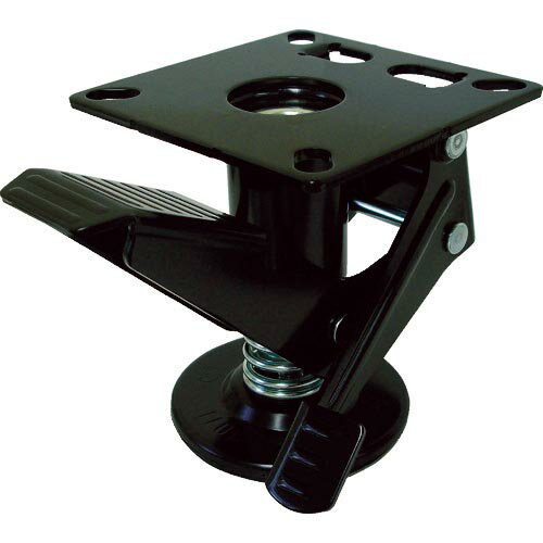 ���������� ( �������������� ) �ե��������å� ( FL-01 )