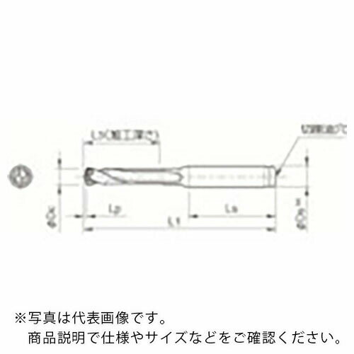 顡ޥåɥѥۥSSDRCù3DC ( SS16-DRC150M-3 ) ( K6P01 )