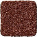 TRUSCO ノンスリップテープ 屋外用 40mmX40mm エンジ 50枚入 ( TNS-4040E ) トラスコ中山(株)