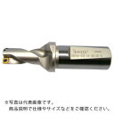 イスカル DRツイスト チップ交換式ドリルホルダ DR-2D-N ( DR048-096-40-16-2D-N ) イスカルジャパン(株)(4)