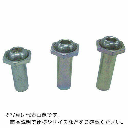 エビ パック入りSTロック(10本入)スティール 10-13 ( CNSH1013P ) (株)ロブテックス