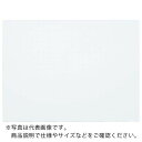 【SALE価格】マグエックス 暗線ホワイトボードシート(小) ( MSHP-3045-M ) (株)マグエックス