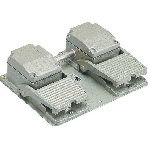 ǥ եåȥå ɱ ŵ6A-250VAC ( OFL-TW-SM2 ) 弫ưŵ()