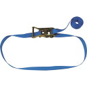 TESAC ラッシングベルト(ベルト荷締機)ラチェットバックル式エンドレスタイプ ( R20N040-000A ) (株)テザック