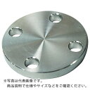 FLOBAL SUS304 10K 閉止フランジ 14100572 ( SUS-10K-BL-FF-25A ) フローバル(株)