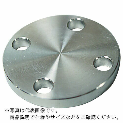 FLOBAL SUS304 10K 閉止フランジ 14100575 ( SUS-10K-BL-FF-50A ) フローバル(株)