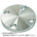 FLOBAL SUS304 5K 閉止フランジ 14100562 ( SUS-5K-BL-FF-100A ) フローバル(株)