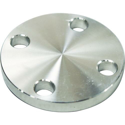 FLOBAL SUS304 5K Ļߥե 14100553 ( SUS-5K-BL-FF-15A ) եХ()