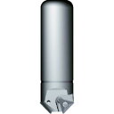 【SALE価格】富士元 エコメン2 ( NKL4534T ) 富士元工業(株)