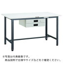 TRUSCO 軽荷重作業台(300kg)AE型 1800X900XH740 薄型2段引出付 ダークグレー色 ( AE-1809UDK2 DG ) トラスコ中山(...