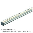 TRUSCO カセット式流動棚用ホイールコンベヤΦ18 P20X2000 ( V-1820ECON-20-2000 ) トラスコ中山(株)
