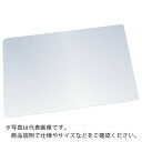 TRUSCO 軽量安全ミラー 245X800mm ( TMPE-2580 ) トラスコ中山(株)