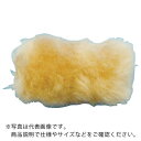 【SALE価格】TRUSCO ミニスモールローラー万能用4インチ ( TSPR-13-4 ) トラスコ中山(株)