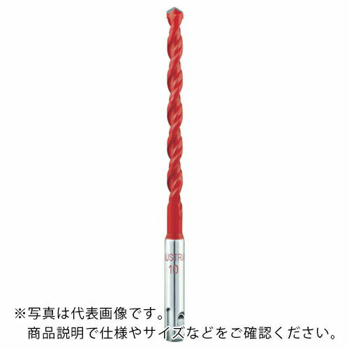 ALPEN ���������֡� �ޥ�����å� 6.0��110mm SDSplus����� ( 50900600 ) ALPEN��