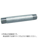 【SALE価格】FLOBAL 両長ニップル(SUS304TP) 04120043 ( VLN-S40-12100 ) フローバル(株)