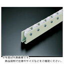 TRUSCO ホイールコンベヤ 樹脂製Φ38X12 P50XL3000 ( V-38N-50-3000(トリツケビス 2コツキ) ) トラスコ中山(株)