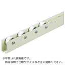 TRUSCO ホイールコンベヤ プレス製Φ40X20 P50XL2400 ( V-40T-50-2400 ) トラスコ中山(株)