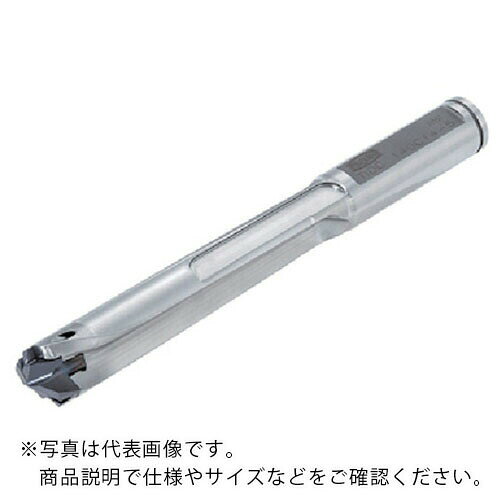 乐天商城 - タンガロイ ヘッド交換式ドリル ドリル・マイスター TIDC(L/D=5) ( TIDC190C19-5 )