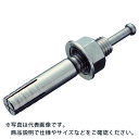 TRUSCO オールアンカーSCタイプ ステンレス M20X230 2本入 (コンクリート用アンカー/芯棒打込み式 ) ( SC-2023BT ) トラスコ中山(株)(4)