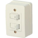 Panasonic 2連タンブラスイッチ ( WS3900WP ) パナソニック(株)エレクトリックワークス社