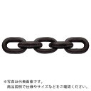 CM　チェーン　1−1／4インチ　27M CM 1-1/4 ( CM114 ) CM社 【メーカー取寄】