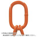 【SALE価格】CM チェーンスリング加工部材 マスターリンクサブアッセンブリー HA175-SA ( HA 175-SA ) CM社