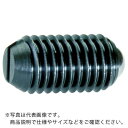 【SALE価格】TRUSCO ボールプランジャー(マイナス溝)スチールボール M6 軽荷重用 ( T6PJ ) トラスコ中山(株)