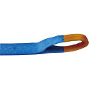 【SALE価格】TESAC ラッシングベルト(ベルト荷締機)ラチェットバックル式アイタイプ ( R100E010-070A ) (株)テザック