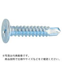 TRUSCO ドリルねじ薄平 板金用 ユニクロ 5X19 47本入 ( TNJ-0519 ) トラスコ中山(株)