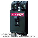 Panasonic 安全ブレーカHB型2 ( BS2021 ) パナソニック(株)エレクトリックワークス社
