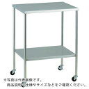 TRUSCO ステンレスワゴン 抗菌SUSワゴン 上下フラット 750X450 ( KSCW-1C ) トラスコ中山(株)
