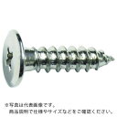 TRUSCO 超低頭タッピングねじ ニッケルメッキ M3X12 30本入 ( TFTN-0312 ) トラスコ中山(株)(4)