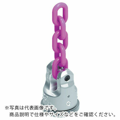 RUD ܼѥݥ WPP VIP10 4t ( WPP-VIP10-4T ) RUD ڥ᡼