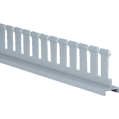 【SALE価格】PANDUIT ( パンドウイット ) 配線ダクト用 スリット付きディバイダーウォール 19.1×45.4×1830 6FT(フィート) 1本 ( SD2H6 )