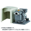 日立 非自動ビルジポンプ 60Hz 単相100V ( B-P100X6 ) 日立グローバルライフソリューションズ(株) 【メーカー取寄】