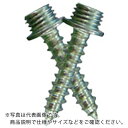 TRUSCO フック用ステンコートポイントビスセット 4×35 2本入 ( HP-AA352 ) トラスコ中山(株)