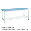 TRUSCO 軽荷重作業台(250kg)BE型 1200X600XH740 下棚2枚付 ダークグレー色 ( BER-1260LT2 ) トラスコ中山(株)