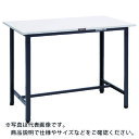 TRUSCO 軽荷重立作業台(300kg)HAE型 900X750XH900 基本タイプ ダークグレー色 ( HAE-0975 DG ) トラスコ中山(株)