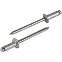 【SALE価格】エビ ブラインドリベット(アルミ/アルミ製) 6-6(20本入) エコパック ( NA66MP ) (株)ロブテックス ( I9O83 )(4)