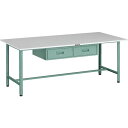 【SALE価格】TRUSCO 軽荷重作業台(300kg)AE型 1800X900XH740 2列引出し付 グリーン色 ( RAE-1809FL2 ) トラスコ中...
