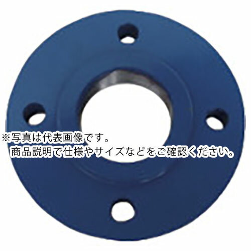 乐天商城 - RIKEN ( 理研機器 ) フランジ ( 200F ) 理研機器(株) 【メーカー取寄】